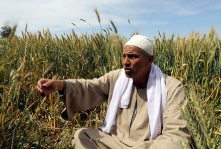 Farmer Mohamed Abdelkhaleq speaks during an interview with Reuters in a field in the Beheira Governorate, north of Cairo, Egypt April 4, 2018. Picture taken April 4, 2018. REUTERS/Mohamed Abd El Ghany