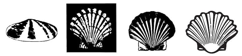 Evolution of Shell textless logo