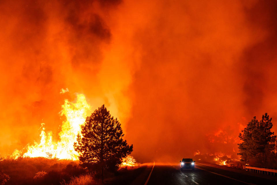 Incendio en el parque (Josh Edelson / AFP vía archivo Getty Images)