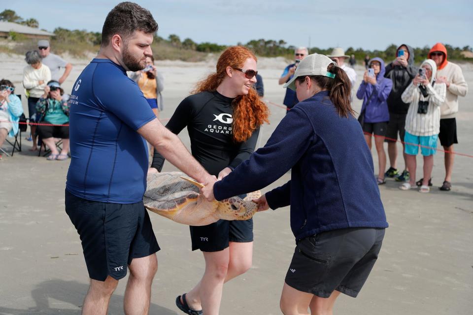 Representatives from the Georgia Aquarium and Georgia Sea Turtle Center carry James Bond, a juvenile loggerhead sea turtle, to the ocean to be released on Monday on Jekyll Island.
