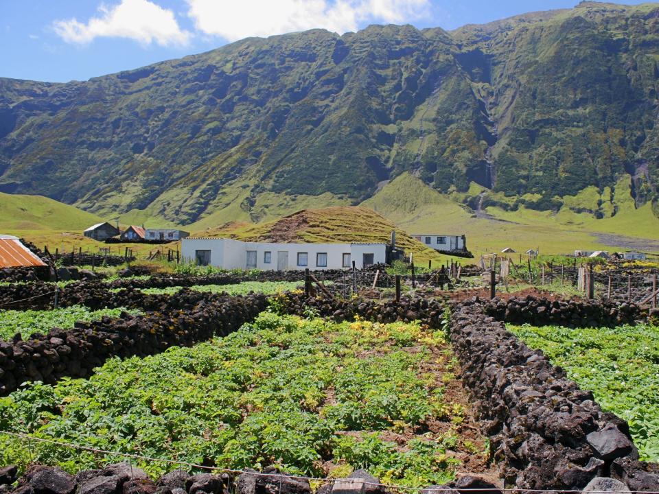 Potato patches, Tristan da Cunha.