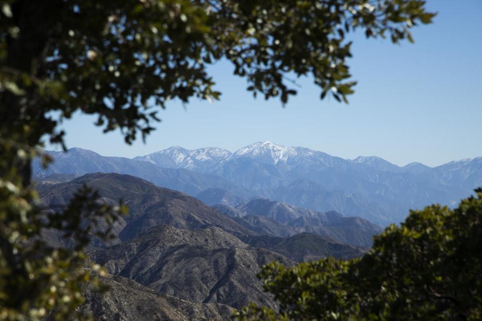 Snow-capped mountains in the distance.