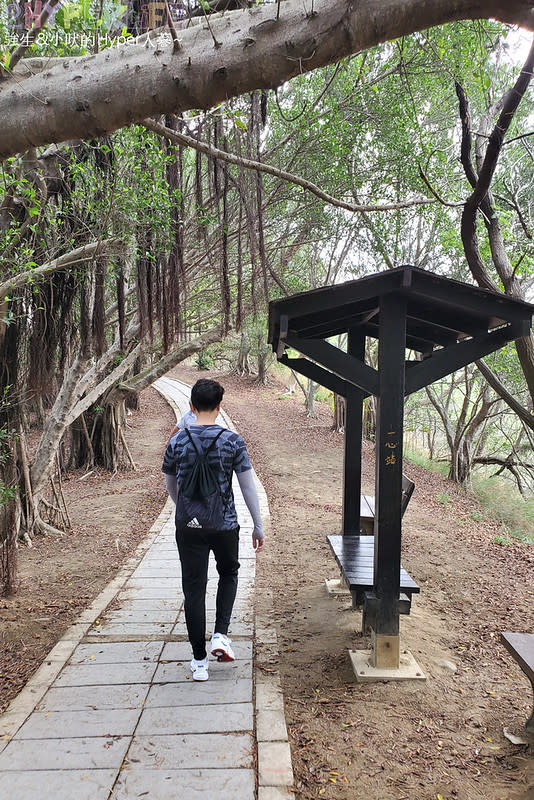 台中｜大肚山萬里長城登山步道