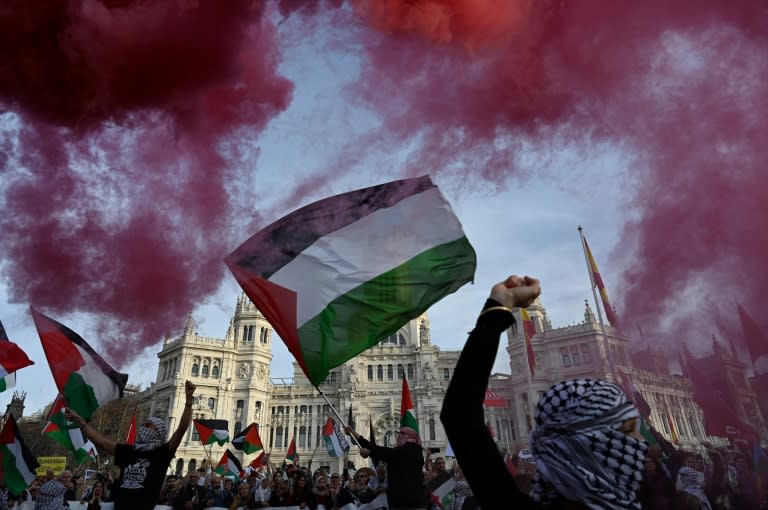 Manifestation contre la guerre à Gaza, le 27 janvier 2024 à Madrid (JAVIER SORIANO)