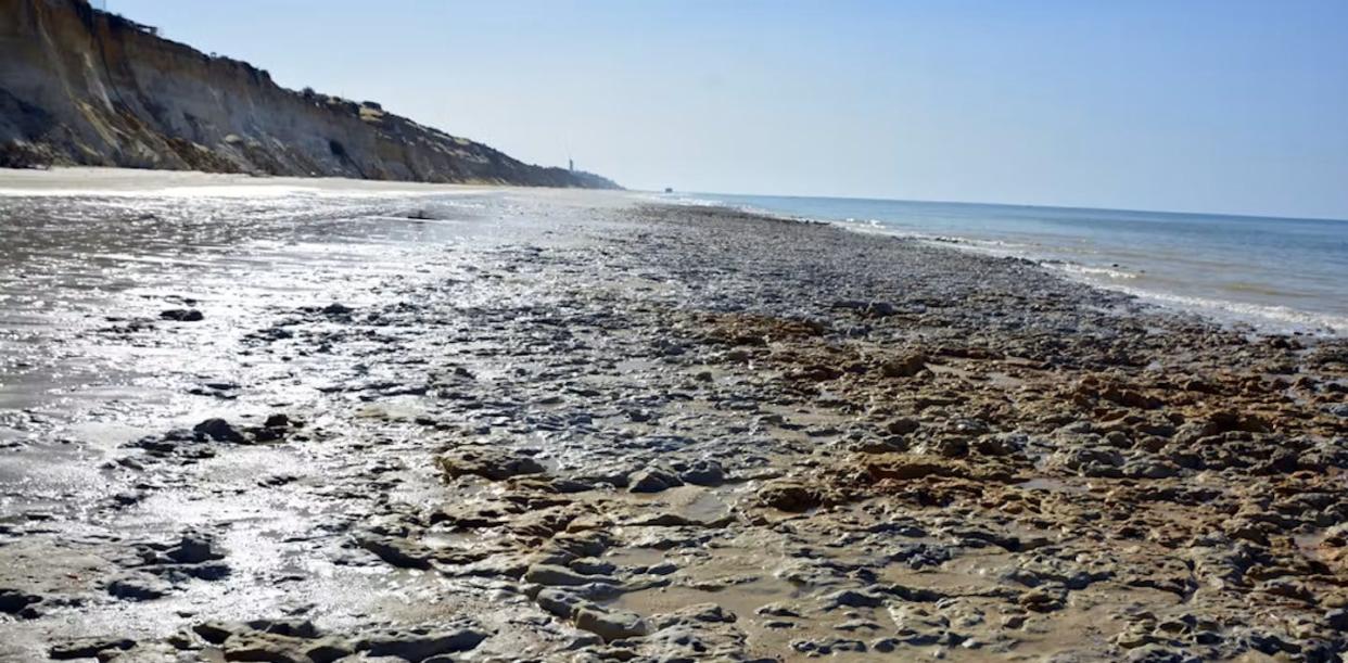 General view of the site with hominid footprints on the beach of Matalascañas, Huelva (Spain). E. Mayoral, Author provided