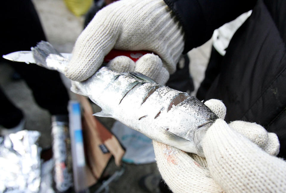 冰雪王國華川山鱒魚節（Photo by Chung Sung-Jun, Image Source : Getty Editorial）