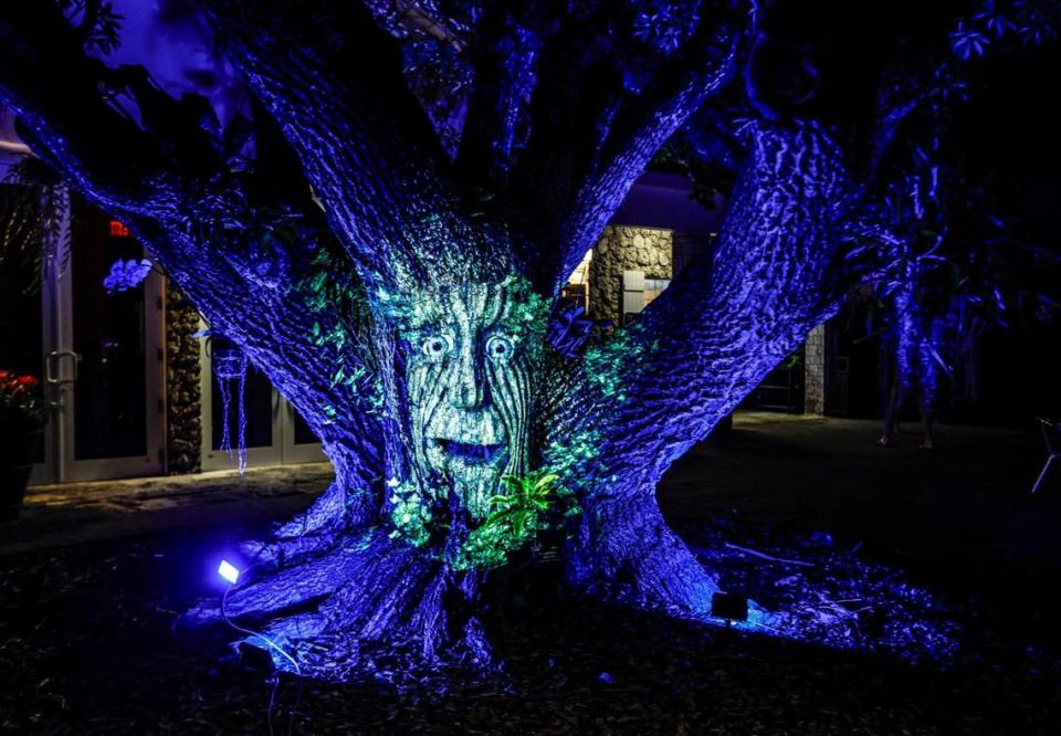 Archie the Talking Tree greets visitors during the fifth anniversary of NightGarden at Fairchild Tropical Botanic Garden in Miami on Thursday, November 9, 2023.