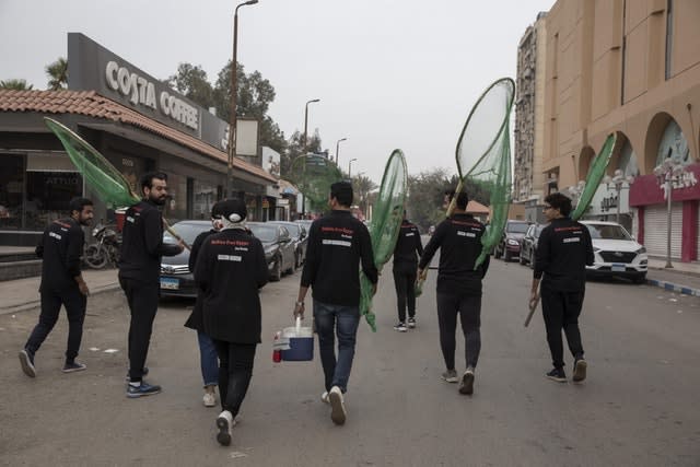 Dogcatchers and veterinarians taking part in the Rabies Free Egypt campaign look for dogs to give them rabies shots in Cairo, Egypt