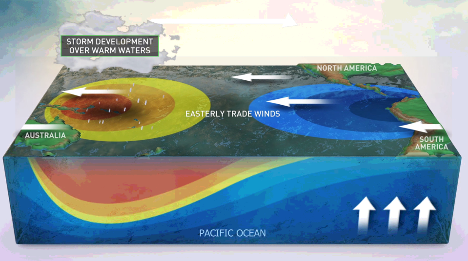 graphic typical la nina pattern