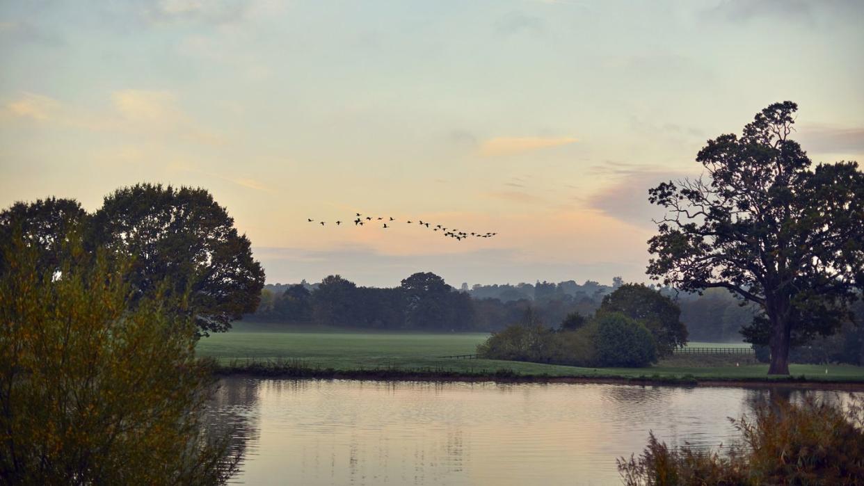 coworth park hotel uk grounds lake