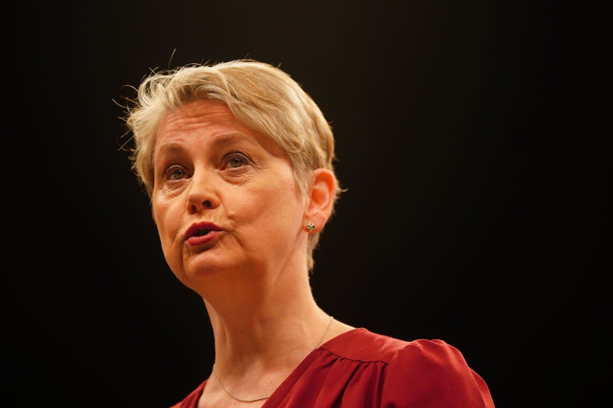 Shadow home secretary Yvette Cooper  (PA Wire)