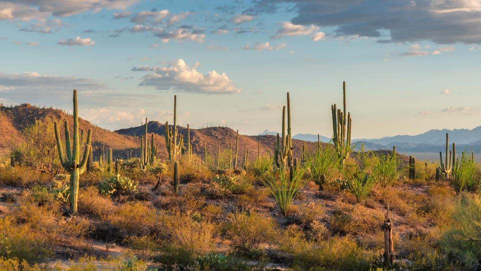 Certain retirement communities like Arizona’s Green Valley and Sun City West already “serve as a “magnet” for senior citizens as over 80% of the population is composed of retirees. (Photo: Getty)