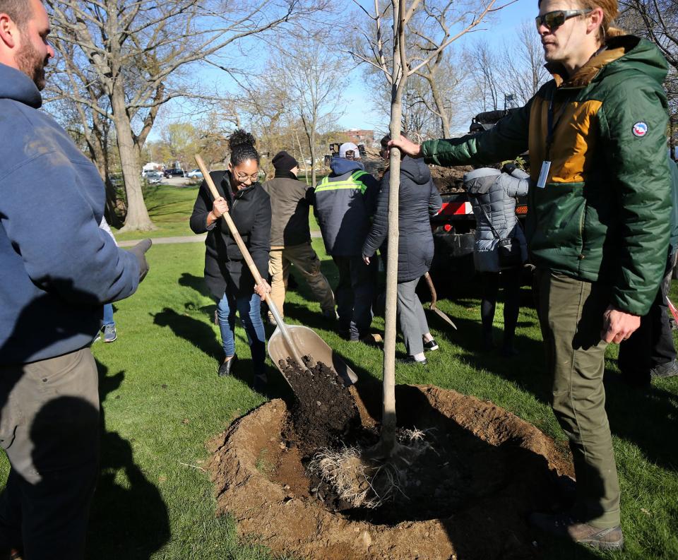 Portsmouth Assistant Mayor Joanna Kelley throws a shovel of dirt on the ball of a sugar maple tree being planted on Four Tree Island on Arbor Day, April 29, 2022.