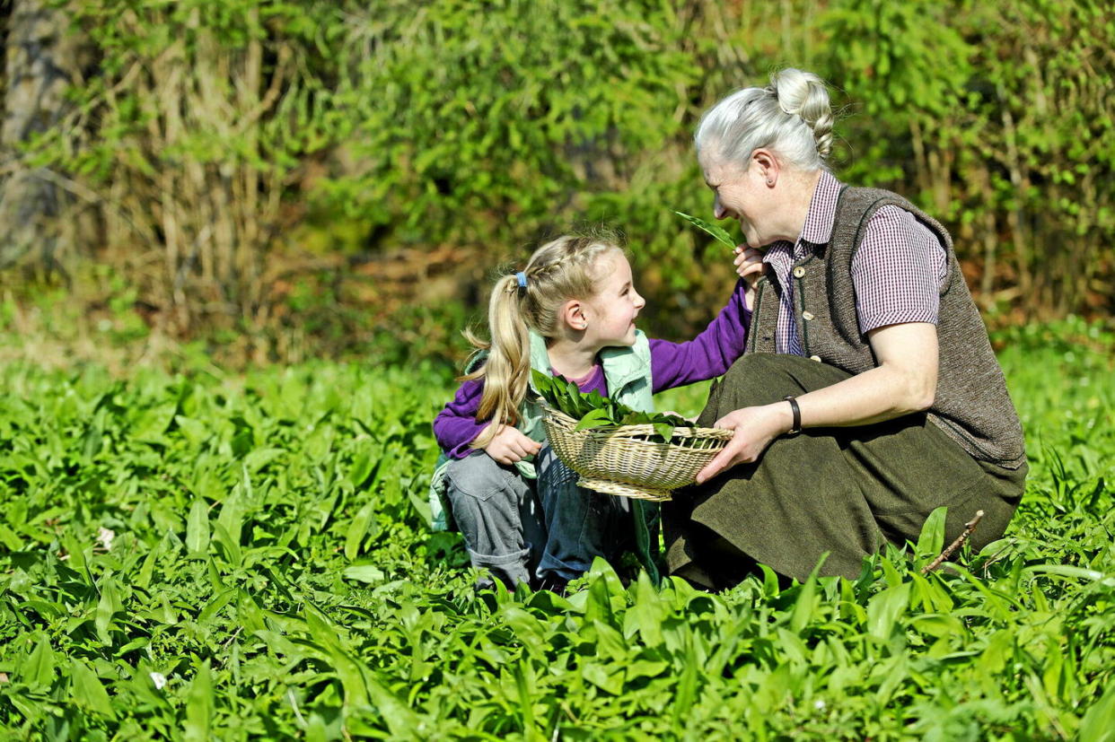 S'occuper souvent de ses petits-enfants, un plaisir... ou pas !   - Credit:imageBROKER.com/SIPA / SIPA / imageBROKER.com/SIPA