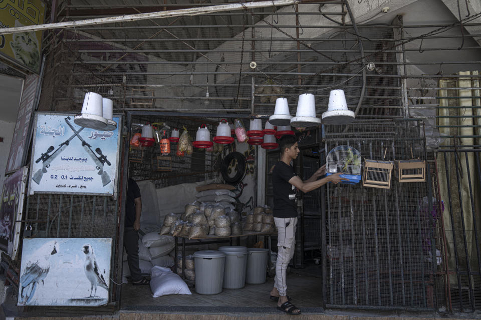Youssef Ashraf hangs a cage with parakeets in front of his shop in Gaza City, Tuesday, Aug. 23, 2022. Dozens of Palestinians have taken up bird-trapping in recent years, capturing parakeets along the heavily-guarded frontier with Israel and selling them to pet shops. It's a rare if meager source of income in Gaza, which has been under a crippling Israeli-Egyptian blockade since the militant Hamas group seized power 15 years ago. (AP Photo/Fatima Shbair)