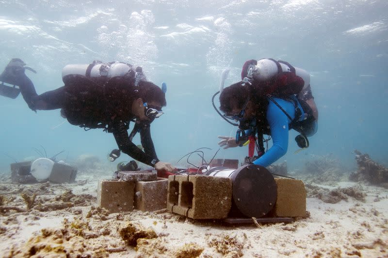 Ken Caldeira on Lizard Island off the coast of Queensland, Australia