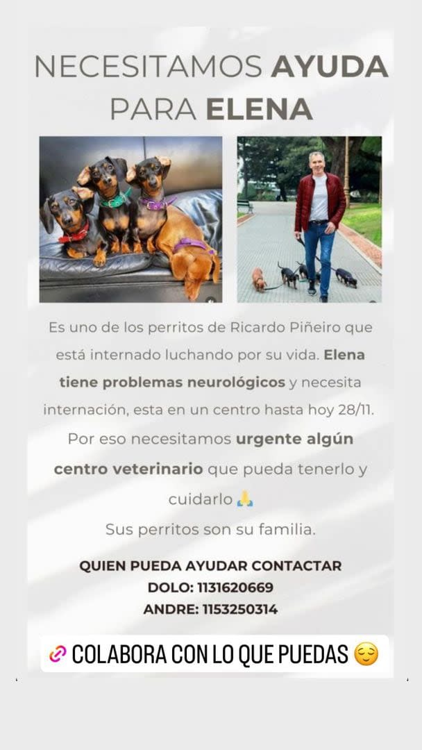 El pedido de ayuda para una de las perritas de Ricardo Piñeiro