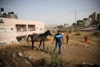 Ismail Obeideh walks with his horse near his home in the Palestinian village of Sur Baher, which sits on either side of the barrier in East Jerusalem and the Israeli-occupied West Bank