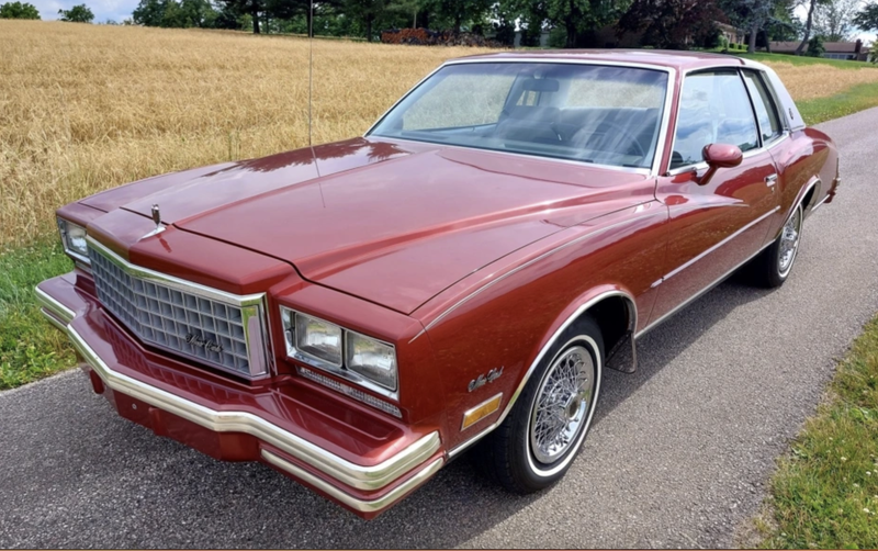 A red 1980 Chevrolet Monte Carlo parked on a narrow drive by a field of golden grass gone to seed. There's trees and a house far in the background