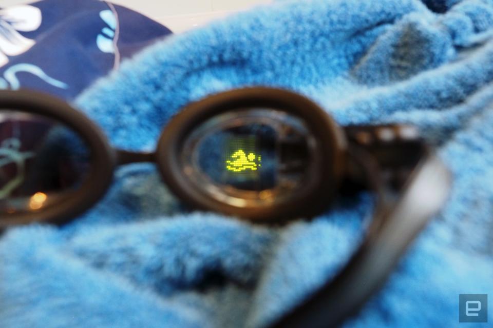 Swim Goggles