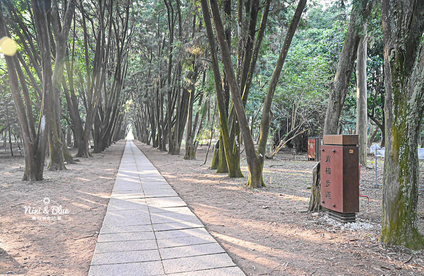 南投竹山｜下坪熱帶植物園