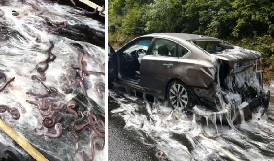 A slimy crash closed Highway 101 in Oregon. (Photo: Depoe Bay Fire District/Oregon State Police)