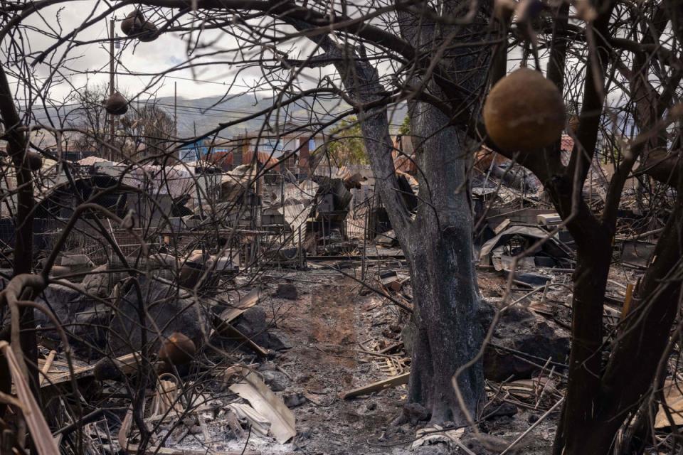 Destroyed buildings and cars are pictured in the aftermath of the Maui wildfires in Lahaina, Hawaii on August 16, 2023 (AFP via Getty Images)