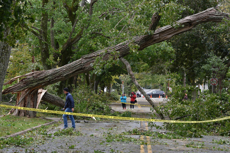 <p>A downed tree lays accross Oxford Street following the passing of Hurricane Fiona, later downgraded to a post-tropical storm, in Halifax on Sept. 24, 2022. (REUTERS/Ingrid Bulmer)</p> 