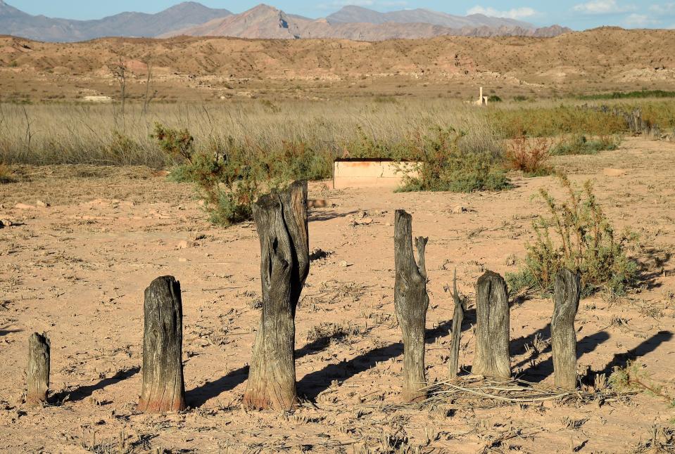 The once flooded ghost town of St Thomas in Lake Mead, Nevada, pictured uncovered in 2015, after epic droughts caused water levels to drop. The on-going crisis could cause water shut offs (Getty Images)