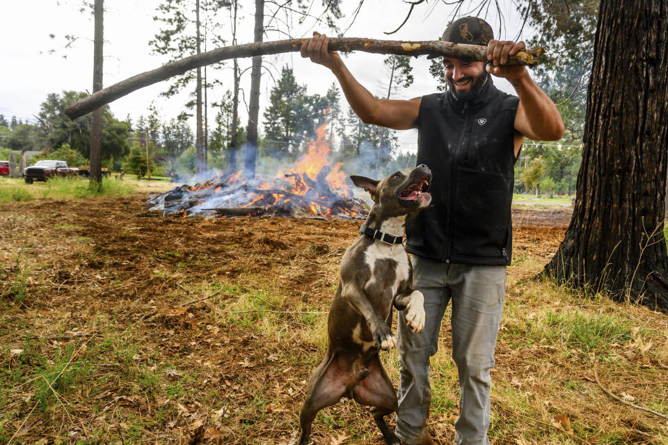 Derrick Harlan plays with Dax while clearing a property of vegetation, Wednesday, Oct. 25, 2023, in Paradise, Calif. Harlan, who lost his home in the Camp Fire, now owns a business conducting flammable fuel reduction to keep properties safer from wildfire and comply with Paradise's defensible space requirements. (AP Photo/Noah Berger)