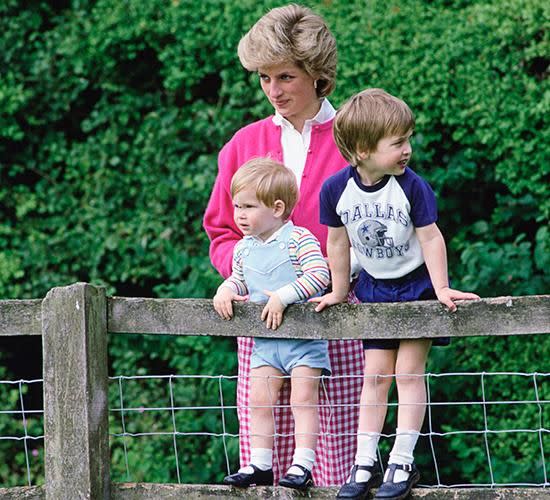 The Princes openly spoke about their mother and lie when they were kids. Photo: Kensington Palace