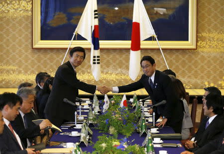 South Korea's Foreign Minister Yun Byung-se (L) shakes hands with Japan's Foreign Minister Fumio Kishida before their meeting at the foreign ministry's Iikura guest house in Tokyo June 21, 2015. REUTERS/Issei Kato