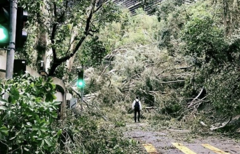 兩年前一張返吾到工既相。半山堅尼地道近御花園一帶，一名白色長袖恤衫、深色西褲背着黑色背包的男子，站在路中心，前路卻遭多棵倒塌大樹完全封着，無法前行，引起不少打工仔共鳴。