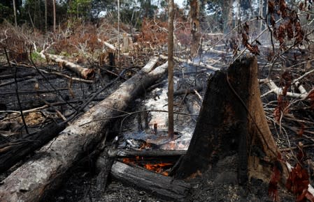 FILE PHOTO: A tract of Amazon jungle burns as it is being cleared by loggers and farmers in Novo Airao