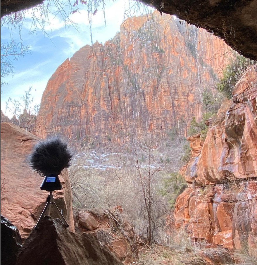 John Roach, Zion National Park's 2022 Artist in Residence, looks over the Court of the Patriarchs in February.