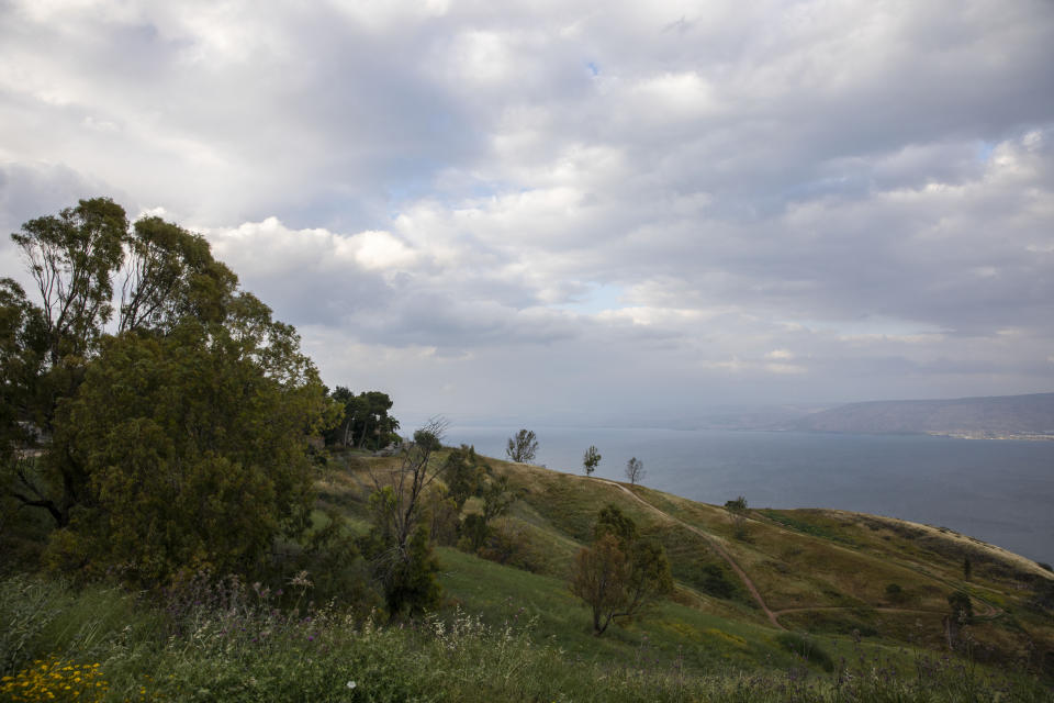 In this Saturday, April 25, 2020 photo, wildflowers bloom at an empty national park overlooking the Sea of Galilee, locally known as Lake Kinneret. After an especially rainy winter, the Sea of Galilee in northern Israel is at its highest level in two decades, but the beaches and major Christian sites along its banks are empty as authorities imposed a full lockdown. (AP Photo/Ariel Schalit)