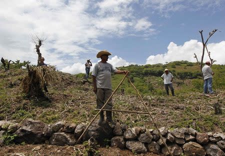 Farmers wait during a distribution of food aid to families affected by the drought, donated by the United Nations World Food Programme (WFP) food reserves, in the village of Orocuina, August 28, 2014. REUTERS/Jorge Cabrera