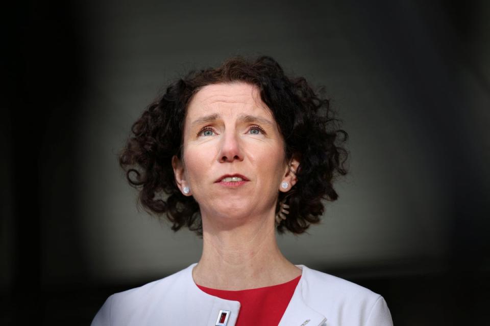 Anneliese Dodds has called for the Tories to refer the allegations against Menzies to the police (Reuters)