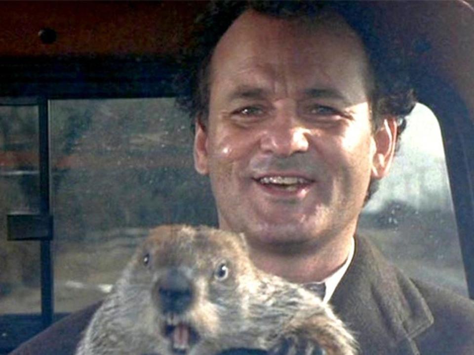 groundhog day