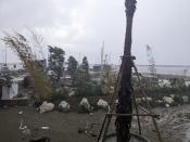 Aftermath of a landslide on the Italian holiday island of Ischia