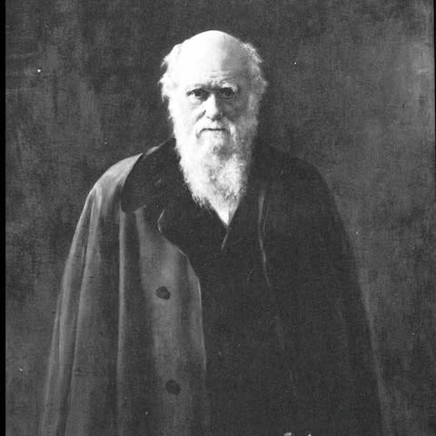 The naturalist Charles Darwin (1809-1882) - Credit: Hulton Archive