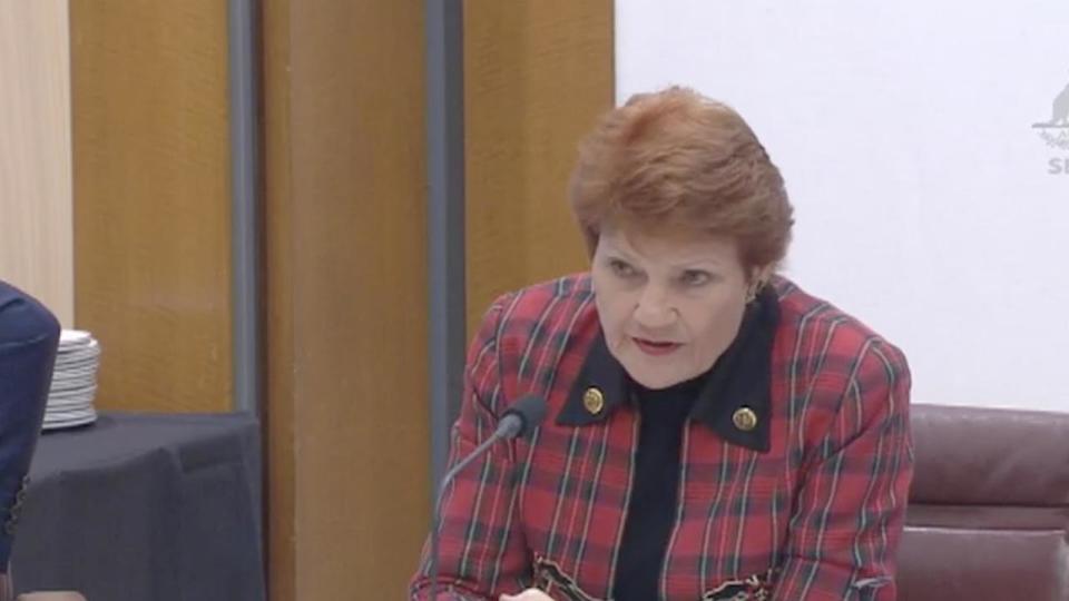 Senator Hanson remains unvaccinated and contracted Covid-19 in May 2022. Photo: ABC Parliament