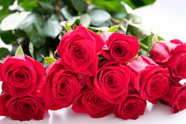 Saint-Valentin : la rose rouge, un incontournable à absolument éviter
