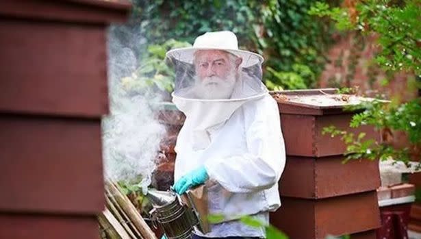 Brian Mitchison has set up a fundraiser to help restore the hives. (Reach)