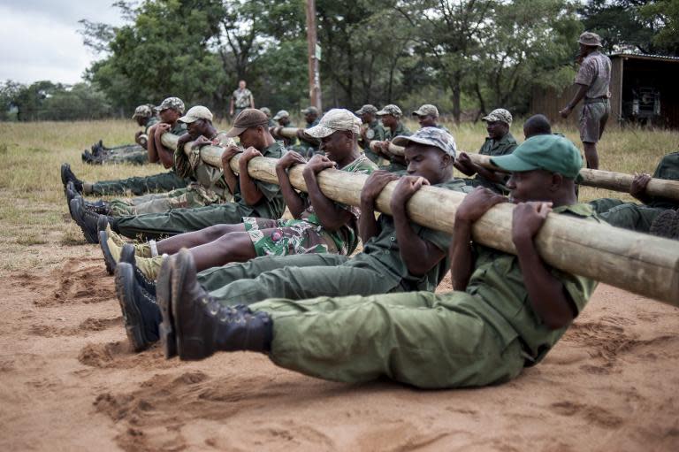 Rangers and new recruits train with heavy wooden poles at the Nkwe Wildlife and Security Services as part of their "Op-Fok" training to become anti-poaching officers in Vaalwater, in Limpopo Province, on March 17, 2015