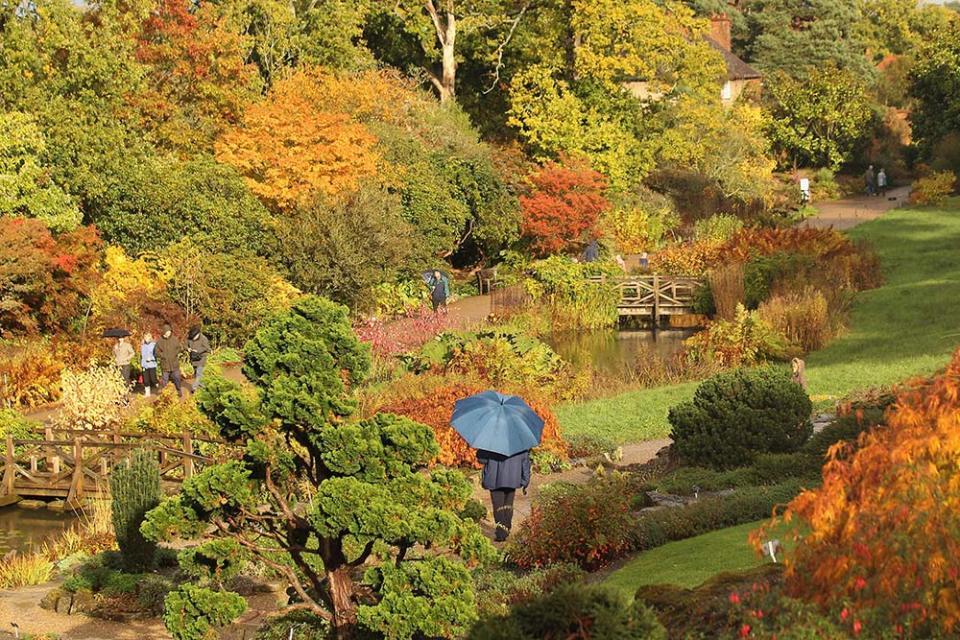 RHS威斯利植物園（Photo by Oli Scarff, Image Source : Getty Editorial）