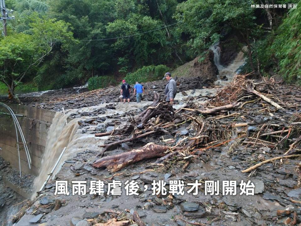 奧萬大聯外道路及奧萬大國家森林遊樂區現況曝光。FB@林業及自然保育署