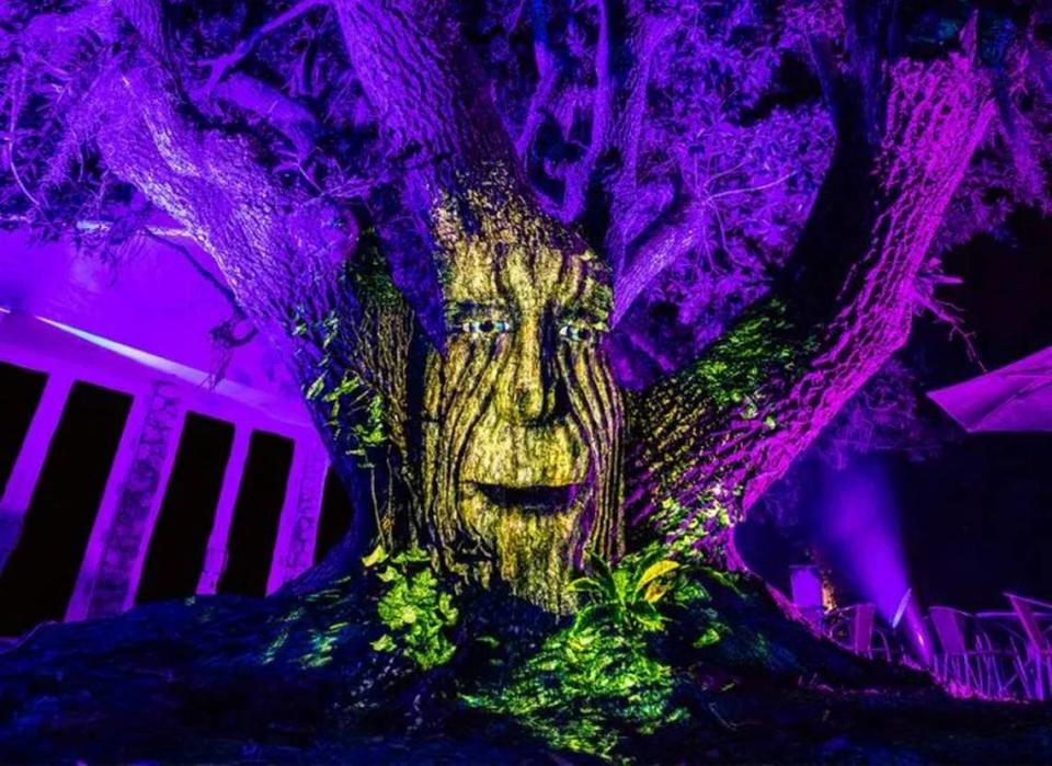 El Jardín Botánico Tropical Fairchild se transforma en 'The Night Garden', una experiencia encantada e iluminada llena de fantasía y asombro.