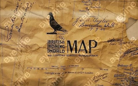 A map depicting the routes homing pigeons took in World War II - Credit: Tom Jamieson