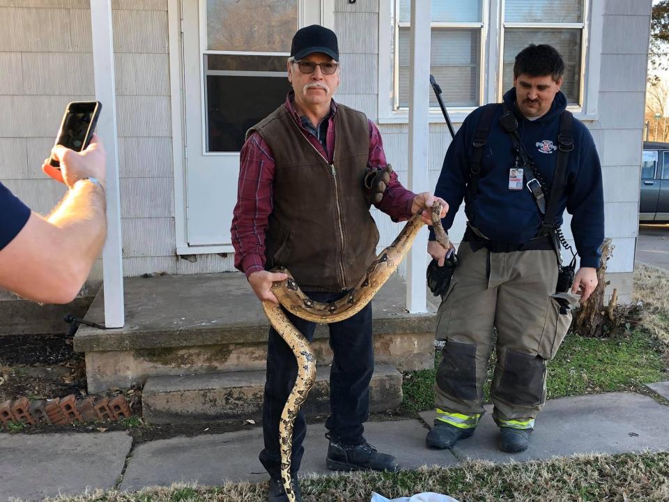 Firefighters remove a boa constrictor from a house. It was hiding in the homeowner's couch.